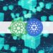 Cardano (ADA) Can Now Be Bought via Credit Cards and Apple Pay After Successful Integration by Simplex