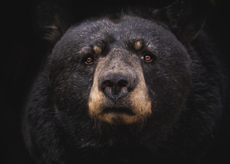 1 million crypto traders see nearly $10 billion in liquidations