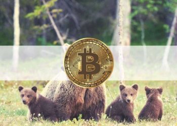 Bitcoin’s Drop Below $50K and Market Cap Under $2 Trillion: The Weekly Recap