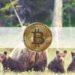 Bitcoin’s Drop Below $50K and Market Cap Under $2 Trillion: The Weekly Recap