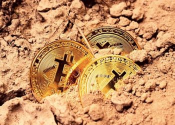 Willy Woo Analyzes The How And Why Of The Bitcoin Crash
