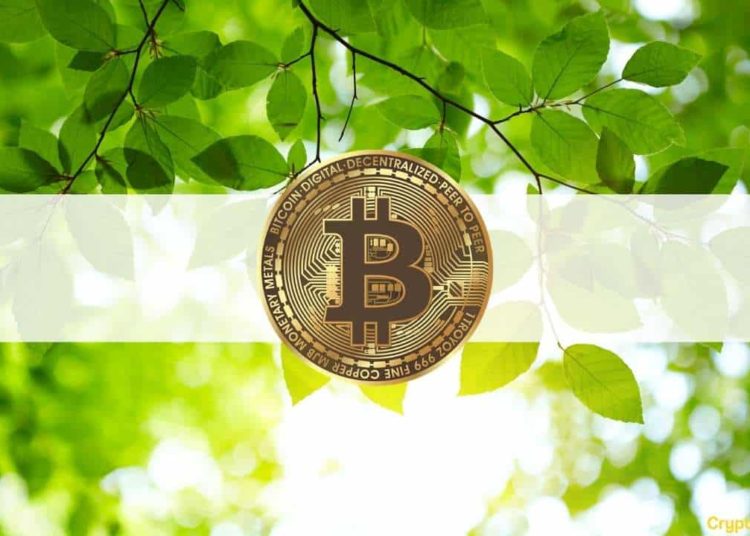 Altcoins Deep in Green (Market Watch)