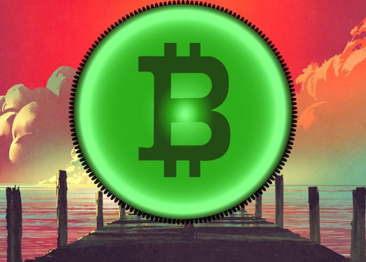 No Turning Back As Bitcoin and Crypto Set To Replace Current Financial System, Says Coin Bureau
