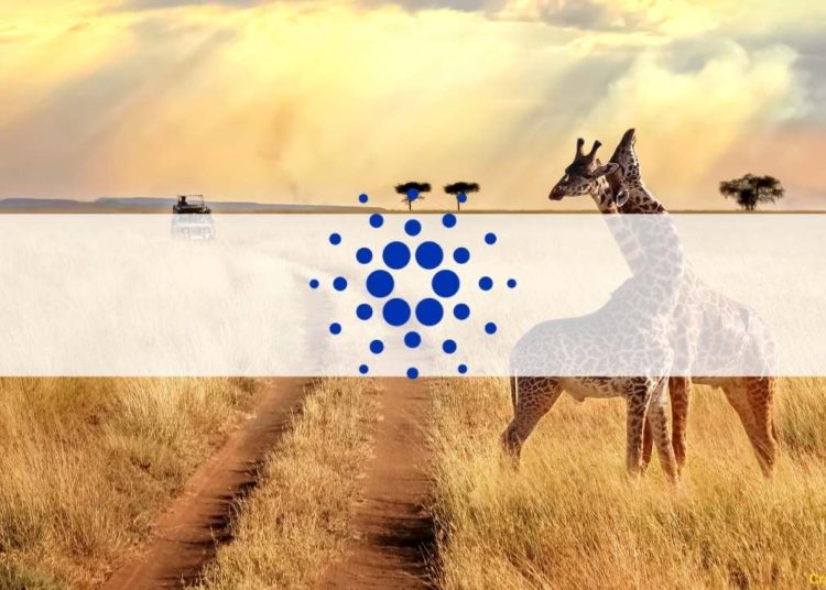 Cardano Announced Second Major Partnership in Africa