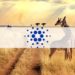 Cardano Announced Second Major Partnership in Africa
