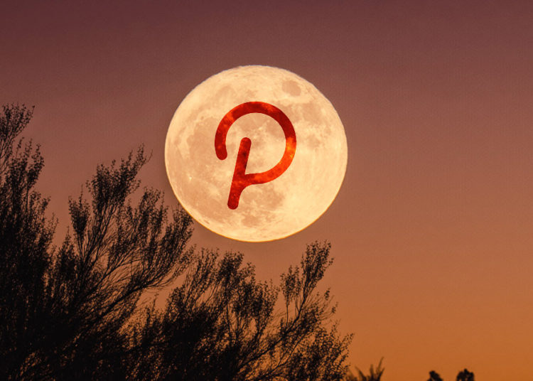 Confused about which Polkadot (DOT) project to invest in? This ‘PINT’ aims to solves that