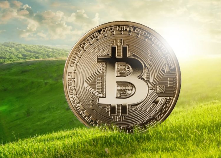 Elon Musk’s Concerns Over Bitcoin’s Energy Consumption Are Misguided, Says Ark Invest