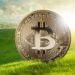 Elon Musk’s Concerns Over Bitcoin’s Energy Consumption Are Misguided, Says Ark Invest
