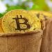 Why Bitcoin Plunged to $42K before Spiking Back to $45K