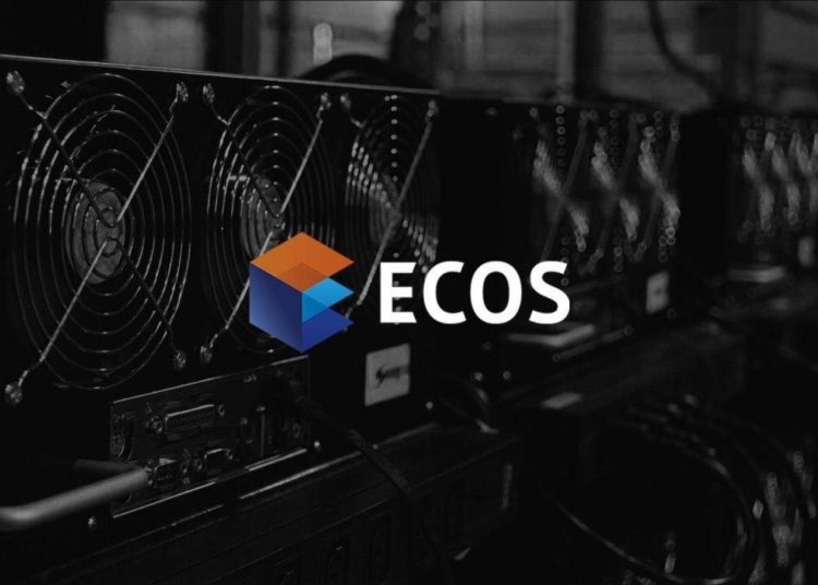 the best crypto tools for your investments