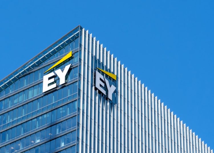 EY Increases Its Investments in The Blockchain Market