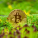 Bill Miller: Bitcoin- Still A Safe Investment Despite Market Crash