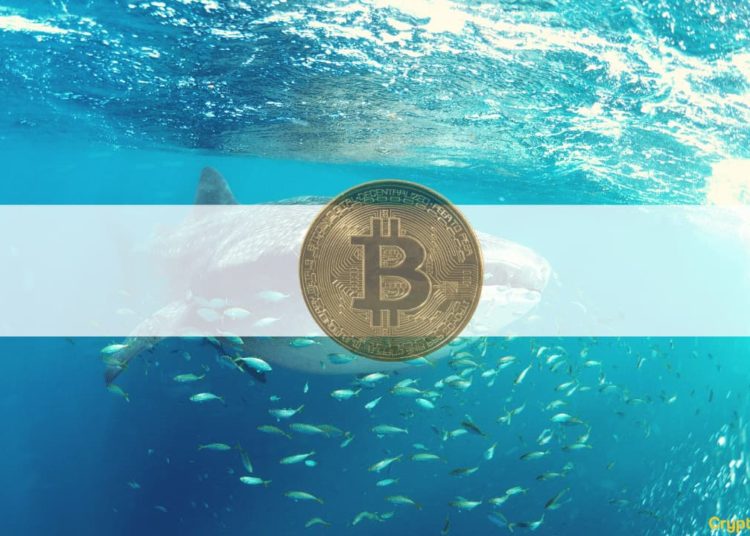 Whales Bought Last Week’s Bitcoin Dip To $47k: Analysis