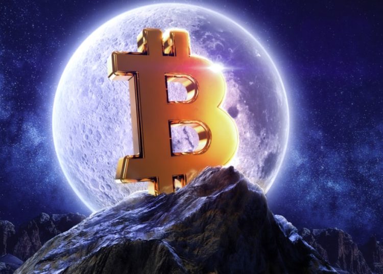 Long-Term Bitcoin Holders are Accumulating Coins After Trimming Their Positions in the Early Bull Run