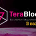 TeraBlock Will Launch Its Initial DEX Offering on BSCPad at May 11