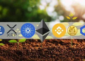 Crypto Market Cap Added $300B in 7 Days as Altcoins Explode: The Weekly Recap