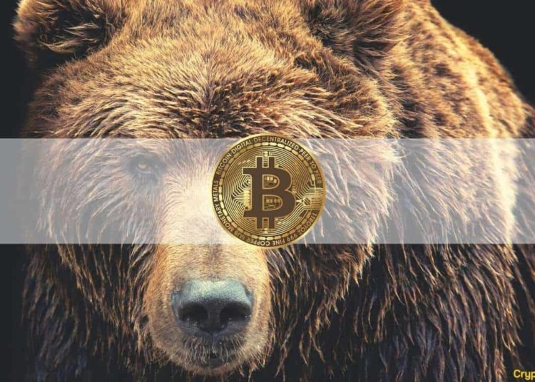 Bitcoin Crashing to $30K, Elon Musk Talking Dogecoin, and China FUD: The Weekly Recap