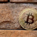 Why this on-chain analyst targets a $300,000 Bitcoin in 2021