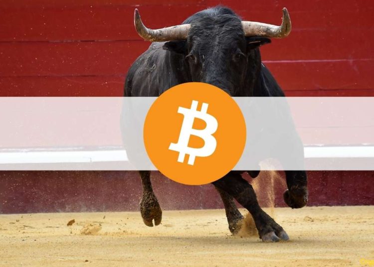4 Signals That the Bitcoin Crash Might Soon Reach a Local Bottom