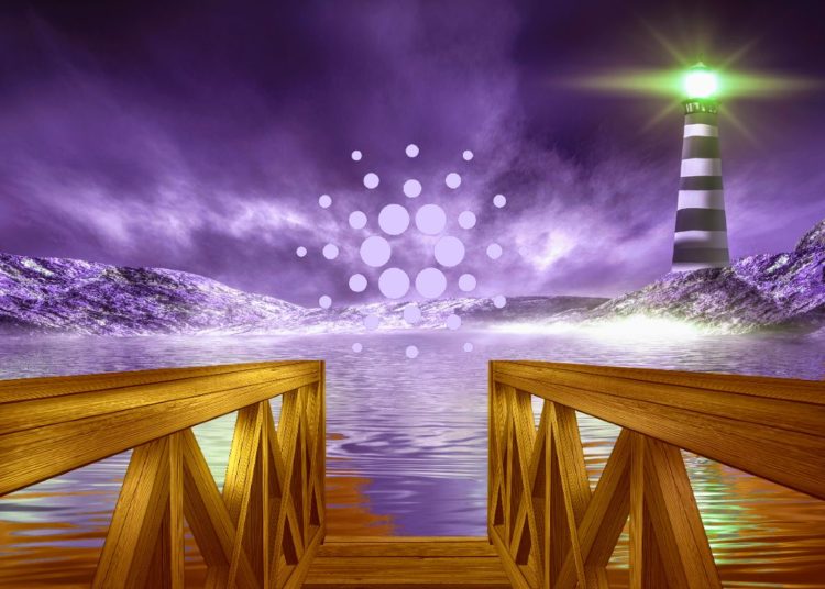 Here Are Crucial Levels To Watch for Cardano and 6 Emerging Altcoins, According to Crypto Trader Michaël van de Poppe