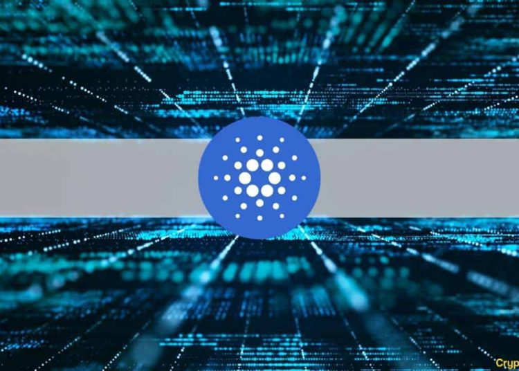Cardano to Roll Out Suite for DeFi and Smart Contracts Next Month