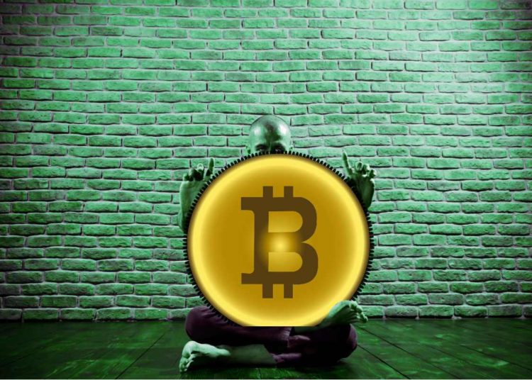 Got Bitcoin? NBA’s Brooklyn Nets Considering BTC Payment Options