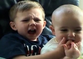Sensational “Charlie bit my finger” video auctioned off as NFT for $760K