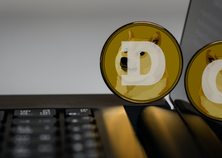 Elon Musk Asks Twitter Users If They Want Tesla To Accept Payment In Dogecoin