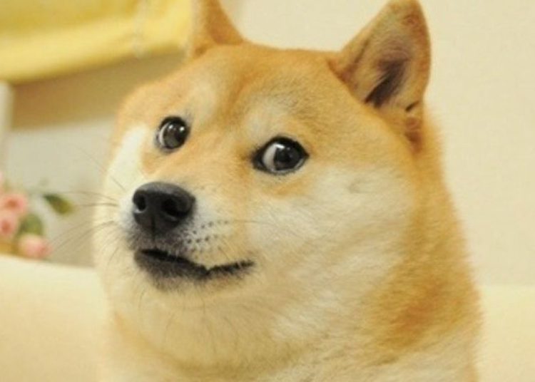 KuCoin CEO States The Number of DOGE Traders Exceeds Bitcoin’s