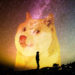 Dogecoin is now 3.5% of the crypto market—and the world’s 170th largest “stonk”