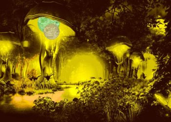 Here Are Nine of the Hottest Crypto Assets Right Now, According to Trader Elliot Wainman