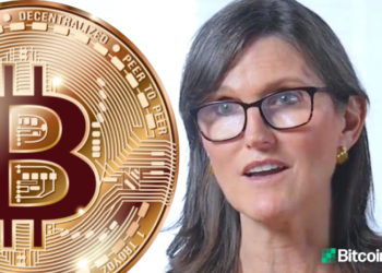 Ark Invest CEO Says Impossible to Shut Down Bitcoin — Regulators Will Become More Friendly Over Time – Regulation Bitcoin News