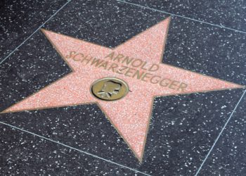 40% to use crypto in the next year, but Schwarzenegger won’t be one