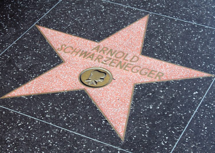 40% to use crypto in the next year, but Schwarzenegger won’t be one