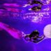 Three Emerging Altcoins Presenting Buy Opportunities, According to Crypto Trader Michaël van de Poppe