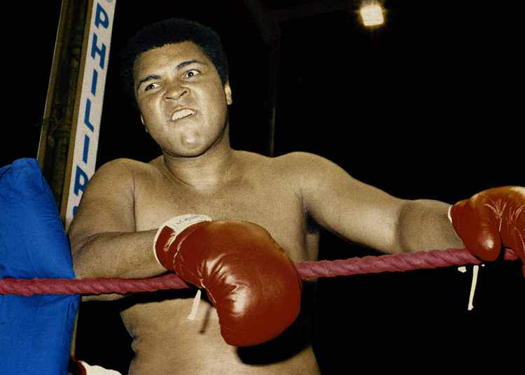 Earning Through NFTs, Legendary Muhammad Ali Collectibles, NFT Display in Times Square, and More – Blockchain Bitcoin News