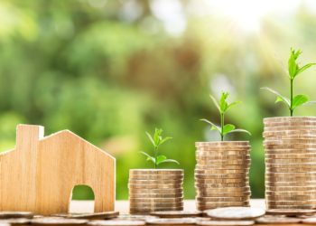 Lark Davis discloses tips to avoid losing money in crypto investment