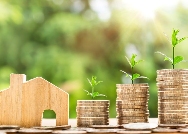 Lark Davis discloses tips to avoid losing money in crypto investment