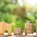 Lark Davis discloses tips to avoid losing money in crypto investment