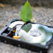 Chia Is Eyeing to Launch an IPO This Year – Altcoins Bitcoin News