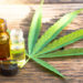 California Cannabis Chain People’s Remedy Starts Accepting Cryptocurrencies as Payment – Bitcoin News