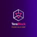 TeraBlock Is Making Crypto Accessible to Newbies