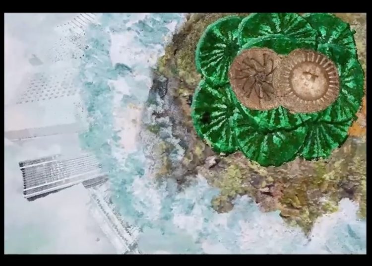 Bluezelle’s Innovative Solution, Rob Prior’s Live Stream, Ap’s Iconic NFT Collection, and the Br8ve Auction – Bitcoin News