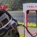Who will be the next Tesla darling? Everyone is out to woo Elon Musk