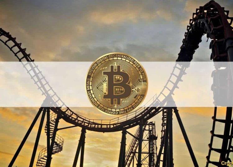 Bitcoin Could be Near Support, But Institutions Are Bullish Because Of Its Fundamentals —Experts Debate