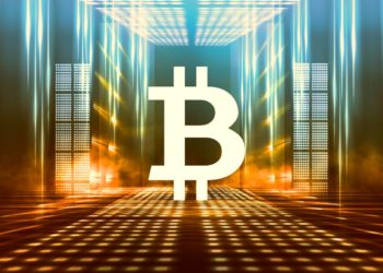 Bitcoin and Crypto Here To Stay but Won’t Be Used in Most Payments, Says Former World Bank Chief Economist
