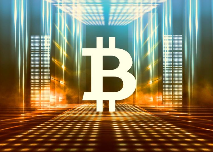 Bitcoin and Crypto Here To Stay but Won’t Be Used in Most Payments, Says Former World Bank Chief Economist