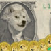 Who Owns the Mystery Dogecoin Whale Address? Robinhood’s CEO Dismisses Speculation – Bitcoin News