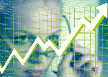Dogecoin and Shiba Inu lead market recovery as Bitcoin fights for $50K