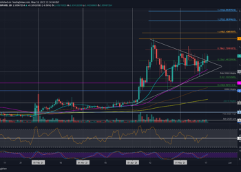 XRP Bulls Try to Stay Above an Important Level Following 11% Weekly Increase